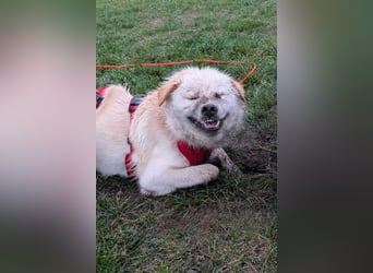 Cindy ❤️ wartet in 12529 Schönefeld