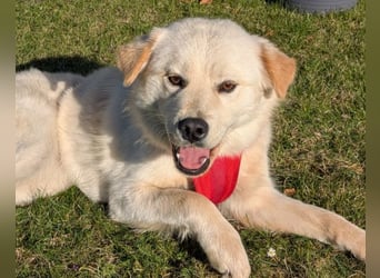 Cindy ❤️ wartet in 12529 Schönefeld