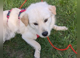 Cindy ❤️ wartet in 12529 Schönefeld