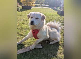 Cindy ❤️ wartet in 12529 Schönefeld