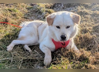 Cindy ❤️ wartet in 12529 Schönefeld