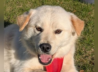 Cindy ❤️ wartet in 12529 Schönefeld