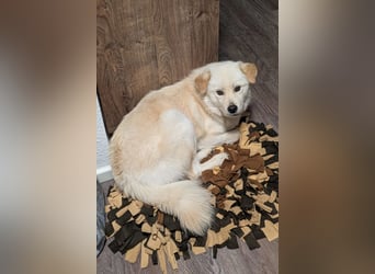 Cindy ❤️ wartet in 12529 Schönefeld