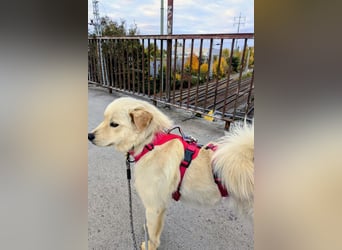 Cindy ❤️ wartet in 12529 Schönefeld