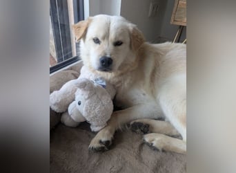 Cindy ❤️ wartet in 12529 Schönefeld