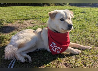 Cindy ❤️ wartet in 12529 Schönefeld