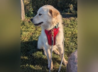 Cindy ❤️ wartet in 12529 Schönefeld