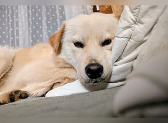 Cindy ❤️ wartet in 12529 Schönefeld