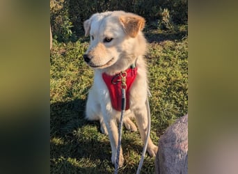 Cindy ❤️ wartet in 12529 Schönefeld