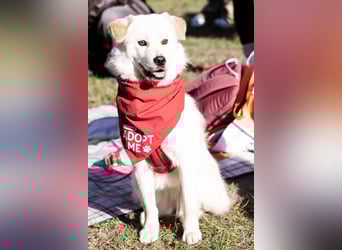 Cindy ❤️ wartet in 12529 Schönefeld