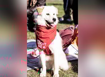 Cindy ❤️ wartet in 12529 Schönefeld