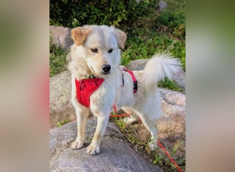 Cindy ❤️ wartet in 12529 Schönefeld