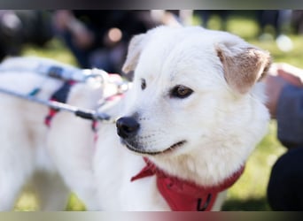 Cindy ❤️ wartet in 12529 Schönefeld