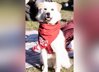 Cindy ❤️ wartet in 12529 Schönefeld