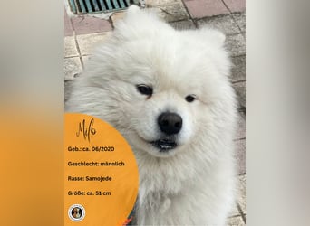 MILO
