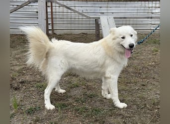 Odin ein toller Schatz