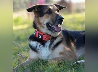 Canela (Spanien) – möchte den Menschen wieder vertrauen