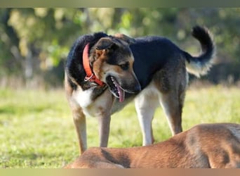 Canela (Spanien) – möchte den Menschen wieder vertrauen