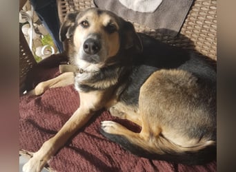 Warum sieht mich denn niemand? 