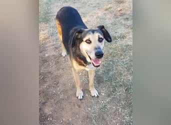 Warum sieht mich denn niemand? 