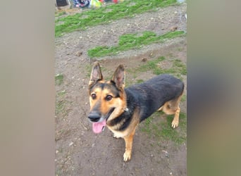 Noah, menschenbezogen und freundlich