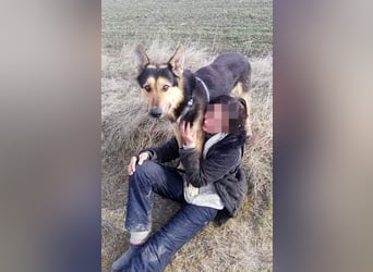 Noah, menschenbezogen und freundlich