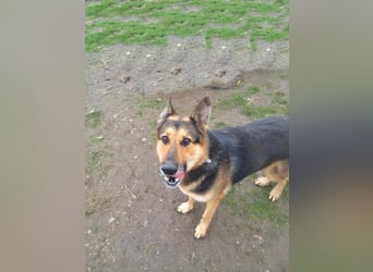 Noah, menschenbezogen und freundlich