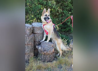 Felicitas sucht ihr sicheres Zuhause