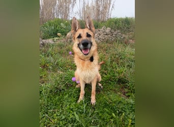 Felicitas sucht ihr sicheres Zuhause