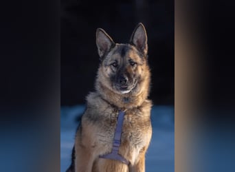 Menschenbezogene Lima sucht dich!