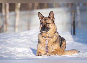 Menschenbezogene Lima sucht dich!