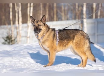 Menschenbezogene Lima sucht dich!