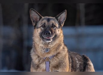 Menschenbezogene Lima sucht ihre Familie