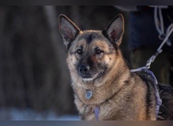 Menschenbezogene Lima sucht ihre Familie