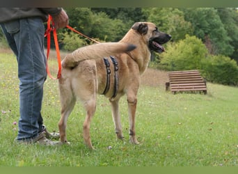 Harway – unser aufgehender Stern