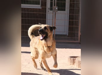 Harway – unser aufgehender Stern