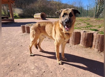 Harway – unser aufgehender Stern