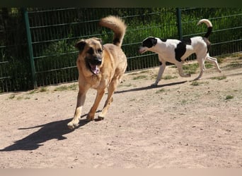 Harway – unser aufgehender Stern