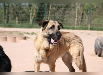 Harway – unser aufgehender Stern