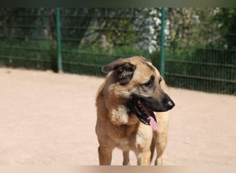 Harway – unser aufgehender Stern