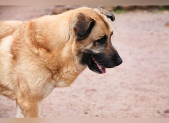 Harway – unser aufgehender Stern