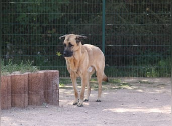Harway – unser aufgehender Stern