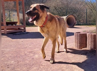 Harway – unser aufgehender Stern