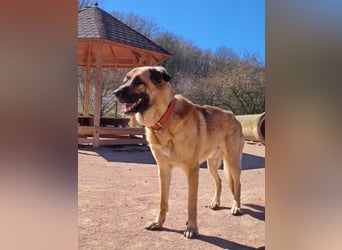 Harway – unser aufgehender Stern