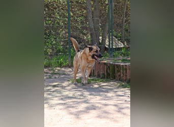 Harway – unser aufgehender Stern