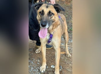 DORA geht mit dir durch dick und dünn