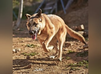 DORA geht mit dir durch dick und dünn