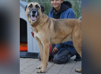 DORA geht mit dir durch dick und dünn