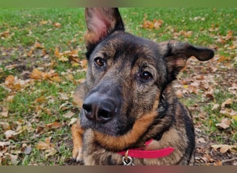 Besuche Nelli in 25474 Bönningstedt