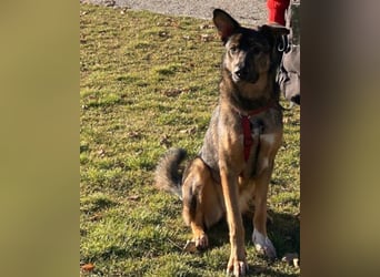 Besuche Nelli in 25474 Bönningstedt